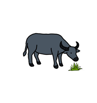 Water buffalo eating green grass doodle vector illustration isolated on white background
