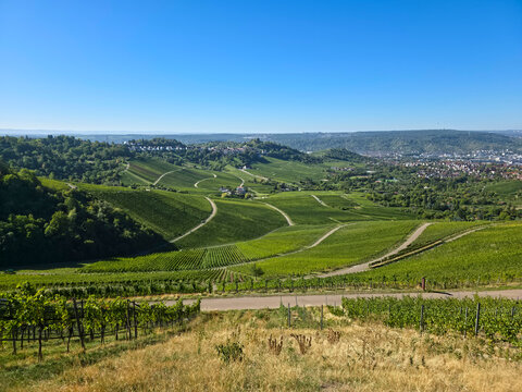 germany, panoramic stuttgart rotenberg houses overlook seemingly endless vineyards and rolling countryside under an uplifting blue summer morning sky