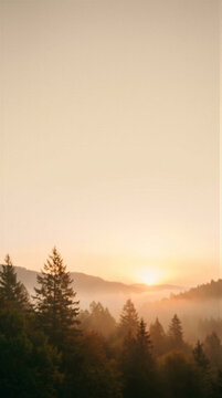 Coniferous trees stand in silhouette on forested hills at sunrise. The sun rises through low mist over layered mountain ridges. Mountain landscape and nature background in soft morning light