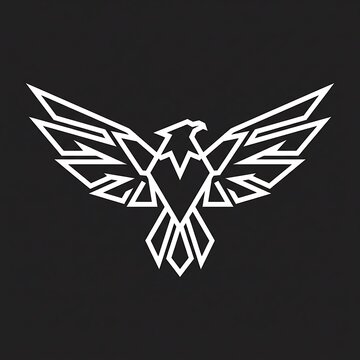 Minimalist geometric hawk emblem design with white line art on a solid black background