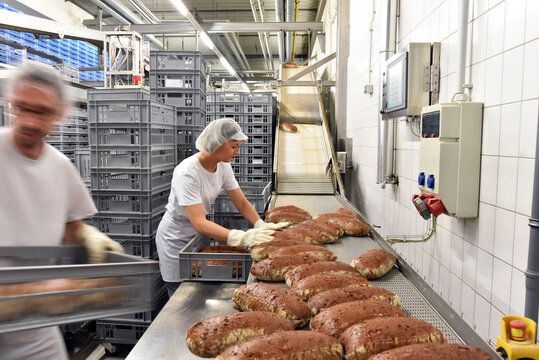 Worker in a large bakery - industrial production of bakery products on an assembly line