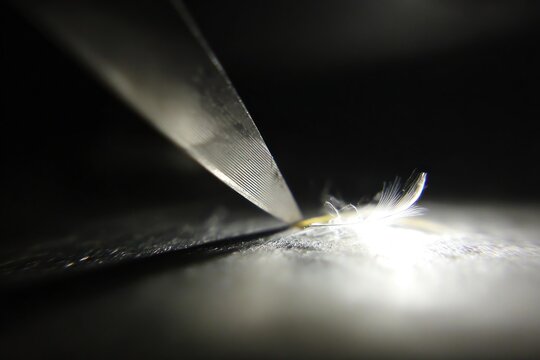 A razor blade is cutting through a feather on a dark surface with light shining on it, showing sharp details of both objects
