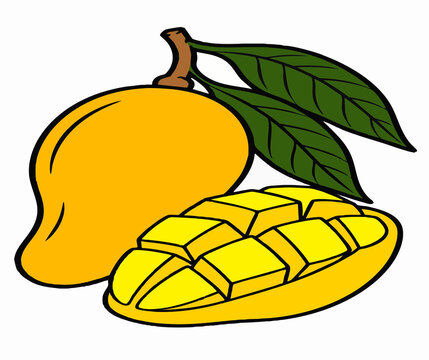 Mango fruit with clean lines and a simple, modern look. Highlighting its natural shape and distinctive features, making it perfect for content about food, farming, botany, and education.