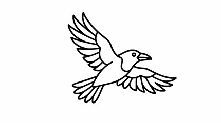 Fototapeta premium A black and white line art illustration of a crow flying against white background with drawing crow flight