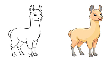 Fototapeta premium Cute cartoon llama coloring page layout featuring colored vector character and black and white lineart on white background.
