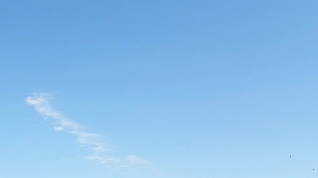 Curious cirrus moving at morning