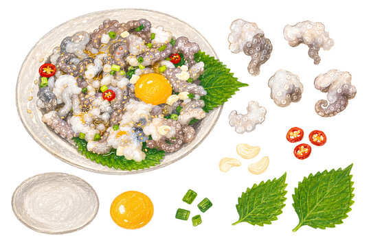 Hand drawn colored pencil style Korean live octopus sannakji and ingredients isolated PNG set