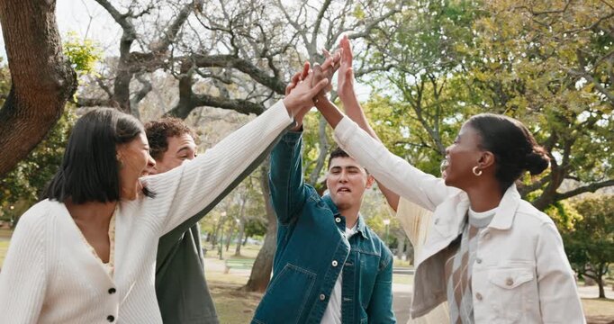 Park, friends and college student with high five for applause, solidarity or success for admission. Nature, hands together and people with clapping for higher education, celebration or acceptance