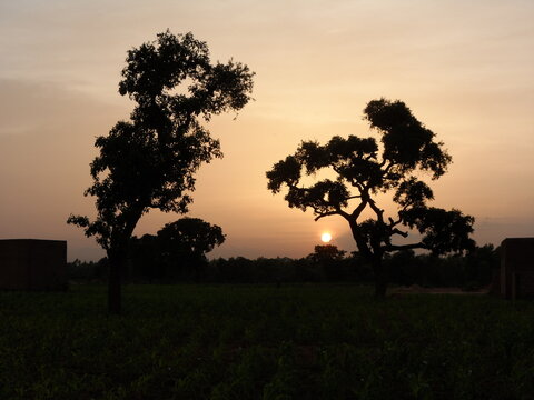 le soleil levant au pays du sahel 