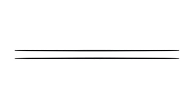 Double horizontal line vector icon representing text divider, paragraph separator, underline rule, and border design element