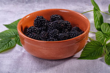 Fresh blackberries in rustic terracotta bowl with green leaves on textured gray surface, shallow depth of field, natural lighting © Andrei Starostin