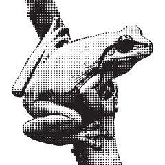 Fototapeta premium Halftone Frog Illustration, Black and White Rasterized Screenprint Art with Stippling Dots Texture