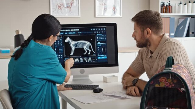 Caucasian female veterinarian showing feline x-ray on screen to Caucasian man pet owner. Footage fits veterinary clinic advertising, pet insurance campaigns and animal healthcare marketing