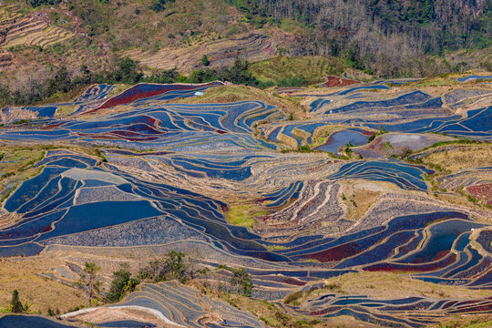 Aerial view of the terraced fields in Yuanyang, Yunnan Province