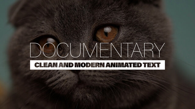 Documentary | Clean and Modern Animated Text