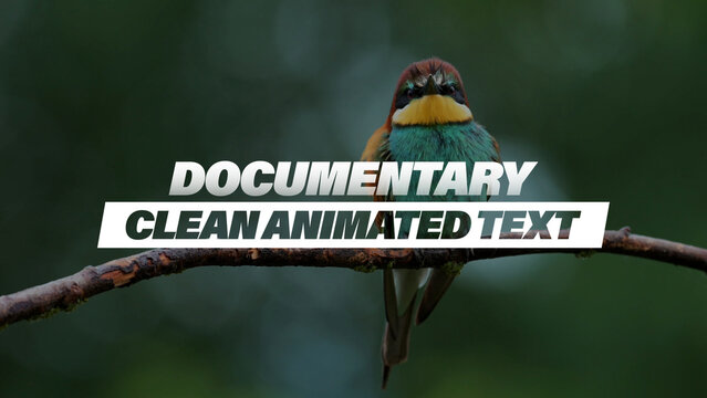 Documentary Clean Animated Text