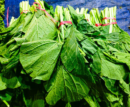 Bunches of fresh organic mustard greens tied with pink string. Raw choy sum leaves at a local traditional market, ready for healthy cooking.