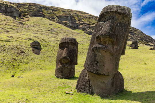 Moai Tukuturi at Rano Rarakuon easter island. Beautiful Moai Statues with beautiful blue sky in the background and green gras in the foreground 