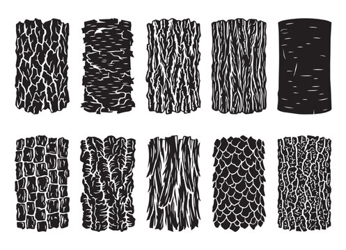 Set of various tree bark textures and wooden patterns in black and white silhouette with bark texture wood pattern vector graphic wood grain bark sample natural pattern material
