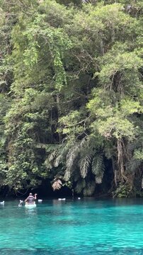 Crystal clear turquoise water of Labuan Cermin Lake surrounded by lush tropical jungle in Berau Borneo