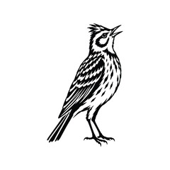 Fototapeta premium Lark Bold Black White Bird Silhouette Illustration