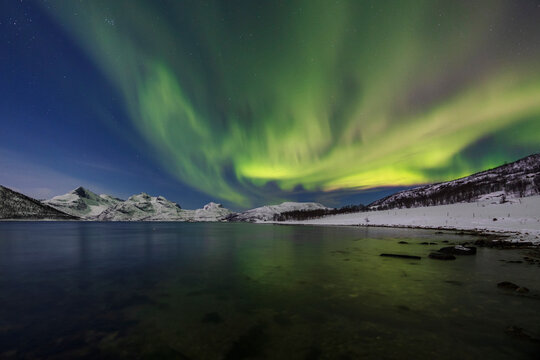 Northern Lights over snowy mountains and lyfjorden fjord