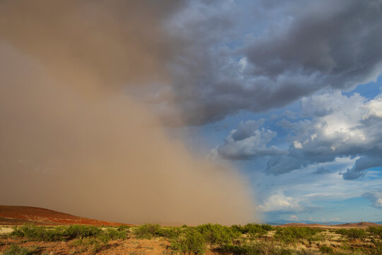 Leading edge of a large Haboob dust storm in rodeo Arizona