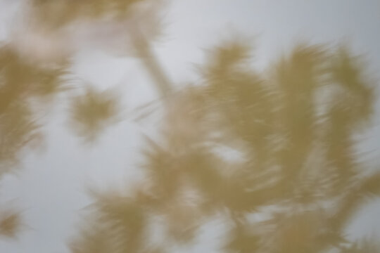 Earth Tone background from a pond's reflection, including sky and leaves.