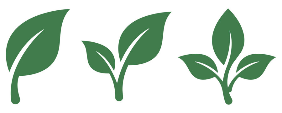 Dark green leaf icons natural and organic concept illustration collection contemporary minimalist creative isolated background composition