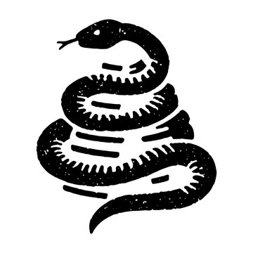 Coiled snake ready to strike
