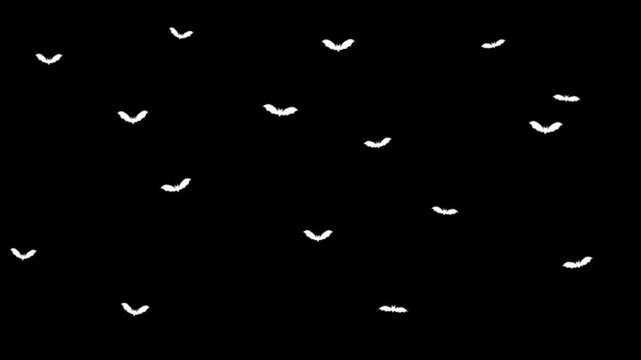 White bats fluttering across a solid black background