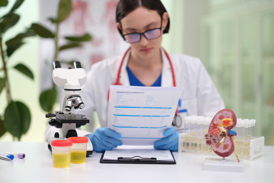 Female laboratory doctor in white coat and gloves studies printed test results beside microscope urine sample cups and anatomical kidney model in bright modern clinic research setting with