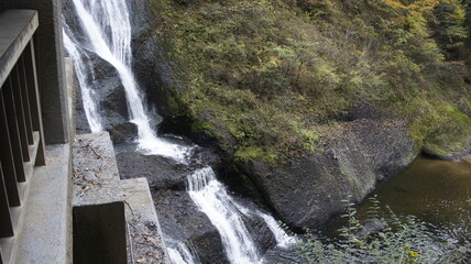 Fukuroda Falls cascading down layered rock in autumn © tomoko