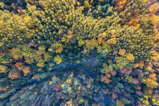 Finger Lakes in Autumn - Robert H Treman State Park - New York