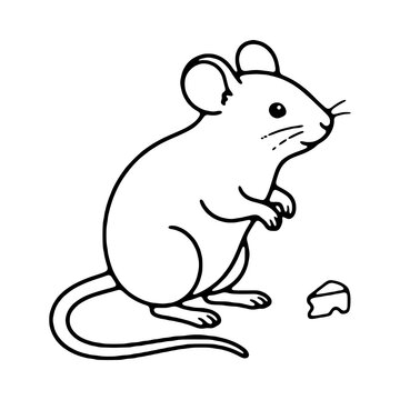 Cute mouse with cheese line art illustration isolated on white background, black outline vector