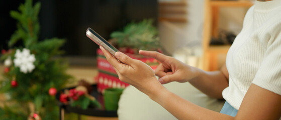 Young woman using mobile phone for Christmas celebration. Close-up of female hands holding smartphone for online message, holiday shopping, xmas festive greetings. Side view © Stella 16