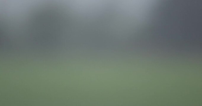 Abstract rain bokeh background with soft focus and falling raindrops. Blurred natural backdrop with copy space, ideal for banners, websites, presentations, and creative design