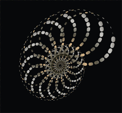 abstract nautilus spiral vector element with gold and silver dotted fibonacci shell pattern isolated on black canvas