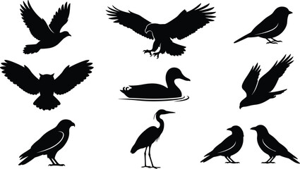 Fototapeta premium Realistic Bird Silhouette Vector Set featuring Flying Eagle, Owl, Duck, Crane, and Perched Crows Shapes for Wildlife and Nature Design Projects