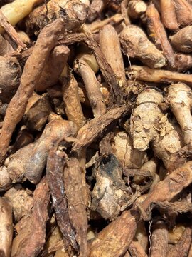 Chinese keys or temu kunci aromatic herbal roots background 