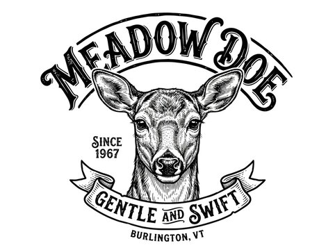 Detailed vintage engraved illustration of a deer head with Meadow Doe logo and Burlington VT text