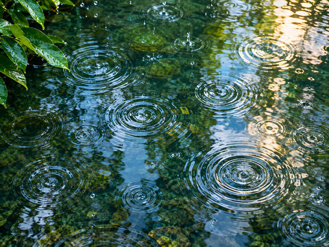 water drops on green background