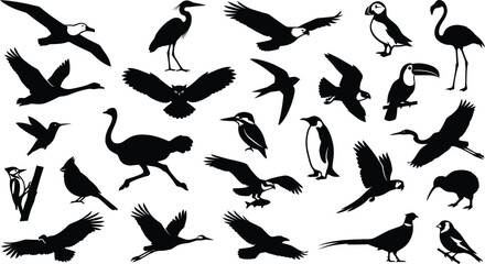 Fototapeta premium Black and white silhouettes collection featuring flying and standing birds
