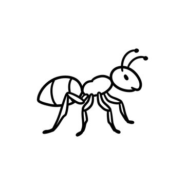 Ant cartoon character drawing cute line art insect illustration designed for school biology worksheets educational science books and children coloring pages.
