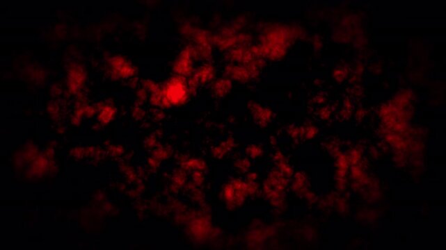 Dark red smoke swirls through a moody abstract texture of vivid crimson. Suitable for backgrounds, posters, and digital art projects. Evoke dramatic ambiance with swirling dark red smoke on a vivid cr