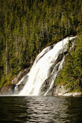 Obraz premium Waterfall cascading through evergreen forest