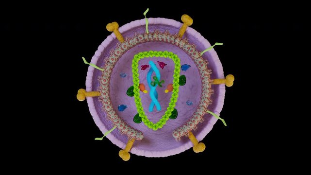 IgG Antibody Binding to Antigen 3D CGI Animation &ndash; Molecular Interaction

