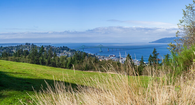 Beautiful scenic view of a coastal town with a long bridge and green meadow on the foreground