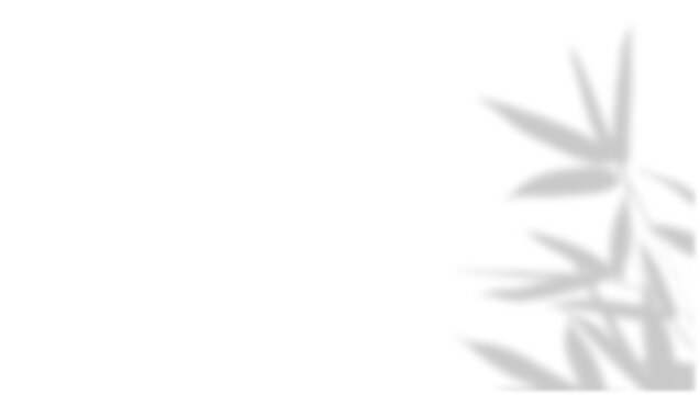 Bamboo Leaf Shadow Overlay Right Side on Transparent Background PNG