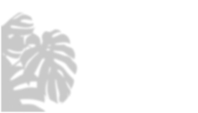 Monstera Leaf Shadow Overlay Left Side on Transparent Background PNG